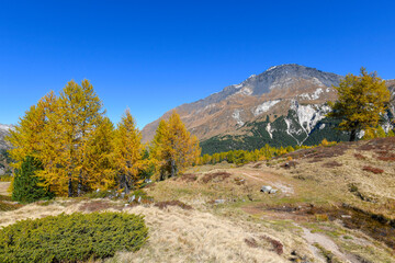 High mountain panorama in autumn with green and yellow colored larches, blue sky, in the Swiss Alps.