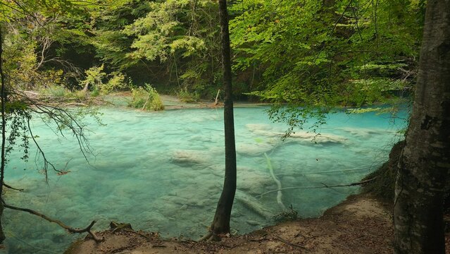 The urederra river in navarra, spain
