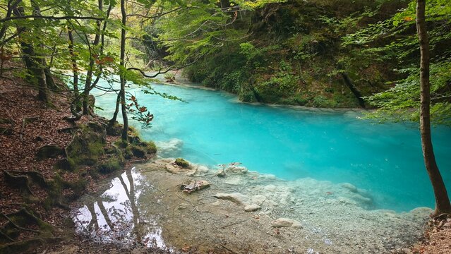 The urederra river in navarra, spain