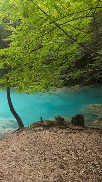 The urederra river in navarra, spain