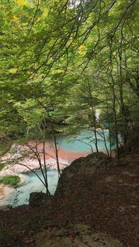 The urederra river in navarra, spain