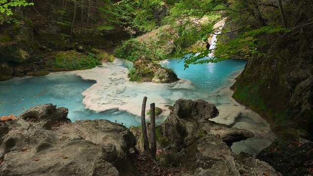 The urederra river in navarra, spain
