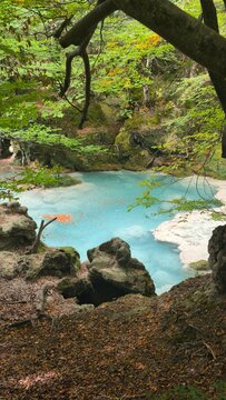 The urederra river in navarra, spain
