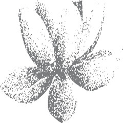 Halftone stipple rosebud vector for vintage collage and tattoo artwork. Retro grunge flower illustration with photocopy and grainy texture. 