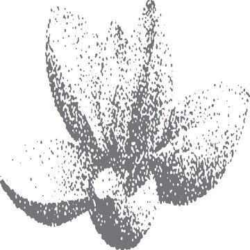 Retro stipple rose illustration for y2k punk collage and poster design. Grunge rosebud vector with vintage photocopy stipple texture overlay. 