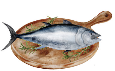 Tuna watercolor. Hand-drawn ocean fish on a white background. Food clip art. Perfect for restaurant menu recipe books and Japanese cuisine.
