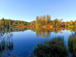 autumn trees reflected in water