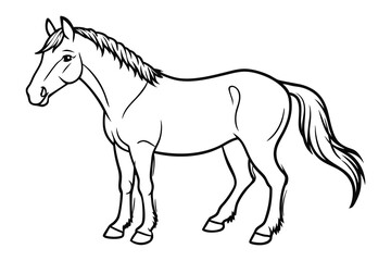 Obraz premium Horse Outline Illustration Farm Animal Line Art Icon