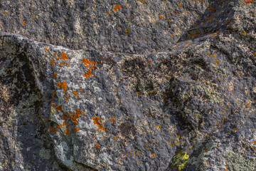 Rugged rock surface showcases vibrant lichen in a natural outdoor setting. Daytime light enhances the textures, creating a serene, earthy atmosphere with no people present.