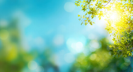 Fresh green leaves with sunlight and bokeh natural background