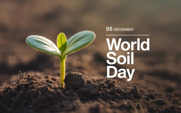 Young seedling emerging from rich soil celebrating world soil day