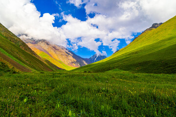 Serene landscape featuring majestic mountains and a lush valley. Grassland stretches peacefully,...