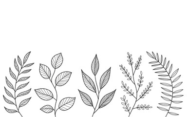 Delicate Foliage Line Art Collection: Assorted Botanical Leaf Illustrations for Artistic Designs