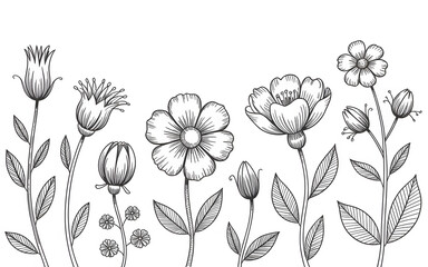 Elegant Botanical Line Art Illustration: Delicate Floral Border with Detailed Leaf and Flower Elements