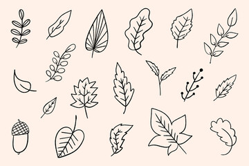 Autumn Leaves Hand-Drawn Doodle Illustration, Botanical Fall Leaf Line Art Vector Set