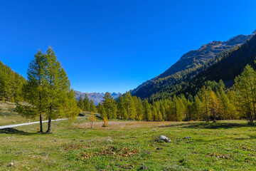 High mountain panorama in late summer, early autumn, with green and yellow larches, blue sky, in the Swiss Alps.