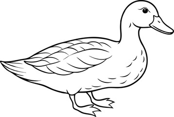 Obraz premium Duck Outline Illustration Bird Line Art Animal Icon