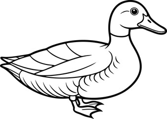 Obraz premium Duck Outline Illustration Bird Line Art Animal Icon
