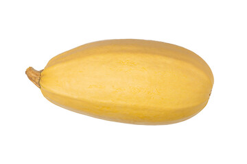 Fresh Whole Spaghetti Squash Isolated on Transparent  Background