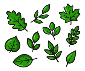 green leaf illustration