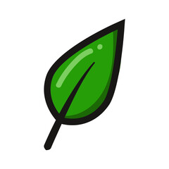 green leaf illustration