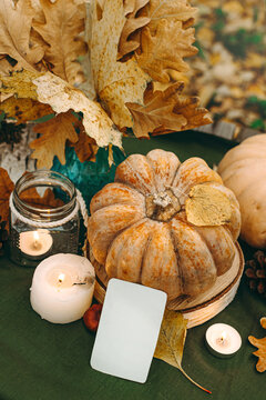 Atmospheric cozy autumn composition. Pumpkins, fall leaves, chestnut, candels. Thanksgiving day. Elegant rustic decor. Concept of cozy fall home atmosphere, aromatherapy. Copyspace.