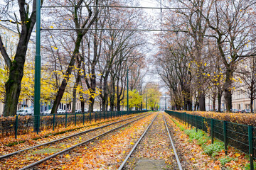 Tram tracks in an autumn park or alley. Autumn leaves