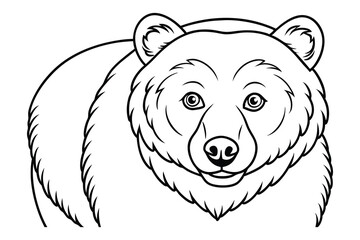 Bear Line Art Illustration | Wild Animal Outline Drawing Design