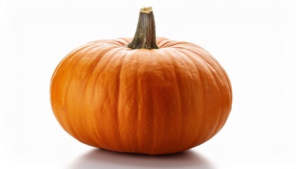 Obraz premium Close Up View Of Pumpkin Isolated On White