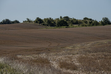 Meadows after autumn harvest