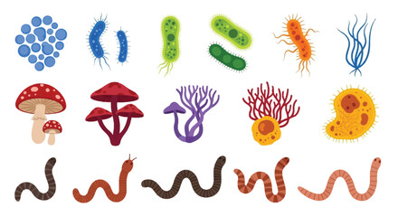 Diverse microscopic life forms including bacteria fungi worms and other organisms © ShapeCraft