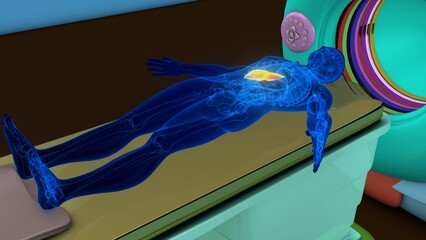 Obraz premium Human liver anatomy with CT scan. 3d illustrations
