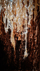 room with sheep wool art installations