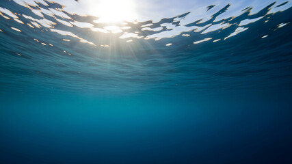 Sunlight filtering through ocean surface underwater view