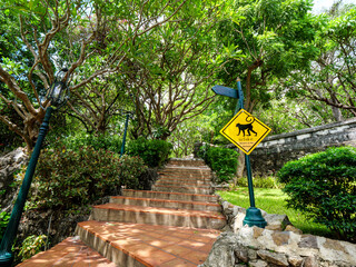 10 June'25 Klai Kangwon Palace,Hua Hin,Phetchaburi Province Thailand : A Warning Sign on the Path to Klai Kangwon Palace