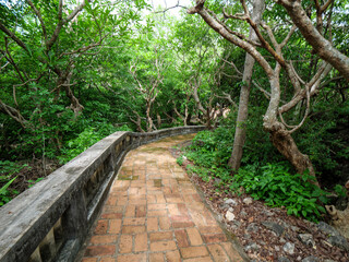 10 June'25 Klai Kangwon Palace,Hua Hin,Phetchaburi Province Thailand : Serene Path of the Far from Klai Kangwon Palace