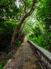 10 June'25 Klai Kangwon Palace,Hua Hin,Phetchaburi Province Thailand : Serene Path of the Far from Klai Kangwon Palace