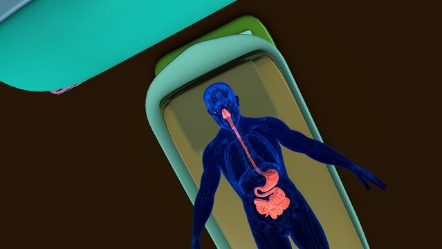 Human digestive system anatomy with CT scan. 3d illustrations