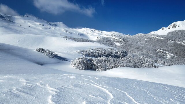 snowy meadows and woods climbing from Prato Spilla to Mount Bocco on the Parma Apennines