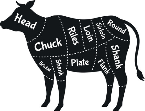Beef cuts diagram showing different meat parts on cow