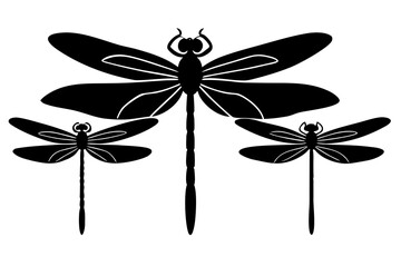 Dragonfly insect silhouette vector isolated on white background