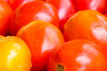 Fresh red tomatoes for cooking. High vitamin food.