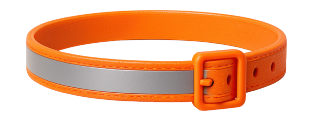 Pet-friendly flea and tick collar with reflective strip, ideal for neighborhood walks.