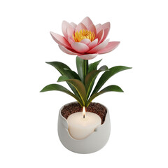 Pink Lotus Flower Candle Pot isolated on a transparent background