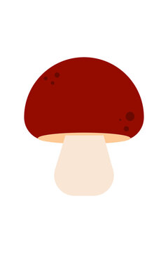 Fun illustration of a brown-capped mushroom, slippery jack. Perfect for autumn, forest, fungi, woodland, fairy tale, foraging, nature, botanical, and seasonal designs. Isolated high resolution PNG 