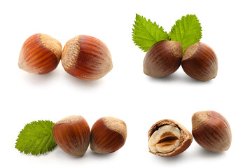 Set of tasty hazelnuts on white background