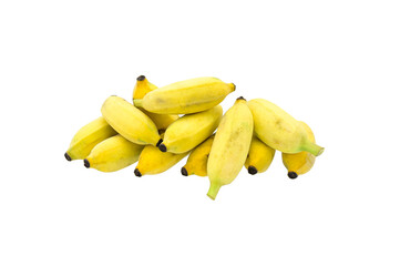 raw Pisang Awak banana (Sugar banana) on white background,isolated