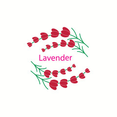 Fresh Lavender flower logo vector flat design Vector