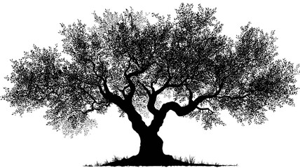 Ancient Mediterranean Olive Tree Silhouette Vector Illustration, Old Gnarled Trunk and Dense Foliage, Nature and Agriculture Concept