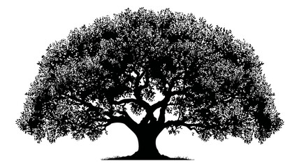 Detailed black silhouette of a majestic old tree with a broad, dense canopy. Symbol of nature, life, growth, strength, and ecological concepts.